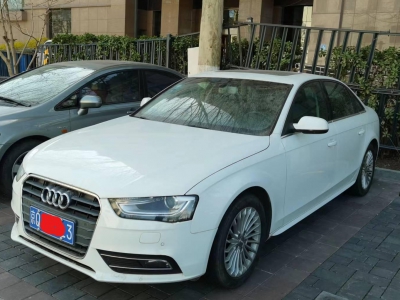 a4l前-闲置京牌车长租：4800 元/月 奥迪A4L 5座 汽油小轿车 尾号3 