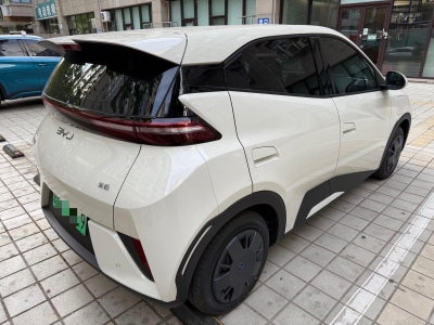 鲸牌链-京牌车长租平台-闲置京牌车长租：3000 元/月 比亚迪海鸥自由版 4座 纯电小轿车 尾号9 