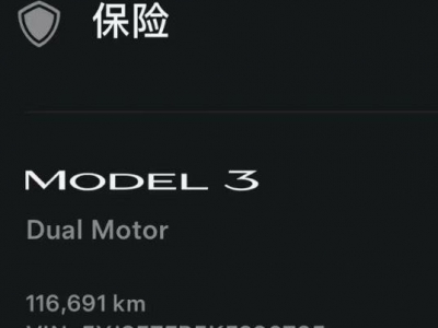 鲸牌链-京牌车长租平台-闲置京牌车长租：4000 元/月 特斯拉Model 3 四驱长续航 5座 纯电小轿车 尾号2 