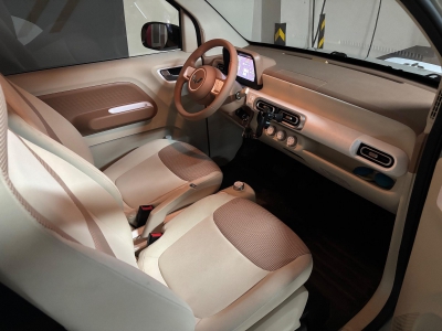 鲸牌链-京牌车长租平台-闲置京牌车长租：2000 元/月 其他五菱宏光mini 4座 纯电小轿车 尾号2 