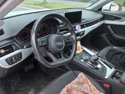 鲸牌链-京牌车长租平台-闲置京牌车长租：3700 元/月 奥迪A4L 5座 汽油小轿车 尾号9 