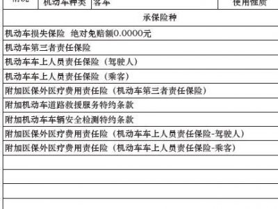 鲸牌链-京牌车长租平台-闲置京牌车长租：2300 元/月 大众迈腾 5座 汽油小轿车 尾号8 