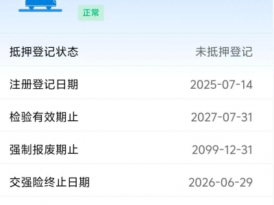 鲸牌链-京牌车长租平台-闲置京牌车长租：4800 元/月 大众帕萨特 5座 汽油小轿车 尾号8 