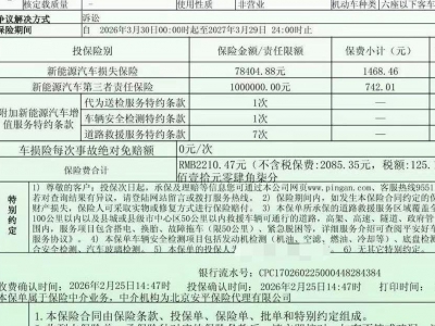 鲸牌链-京牌车长租平台-闲置京牌车长租：3800 元/月 小鹏P5 460E+ 5座 纯电小轿车 尾号3 