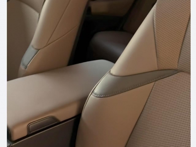 鲸牌链-京牌车长租平台-闲置京牌车长租：6000 元/月 雷克萨斯ES200 5座 汽油小轿车 尾号8 