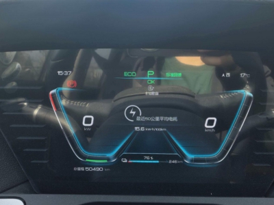 鲸牌链-京牌车长租平台-闲置京牌车长租：2100 元/月 比亚迪宋pro ev 5座 纯电SUV 尾号3 