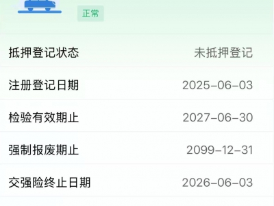 鲸牌链-京牌车长租平台-闲置京牌车长租：2500 元/月 比亚迪海鸥 5座 纯电小轿车 尾号9 