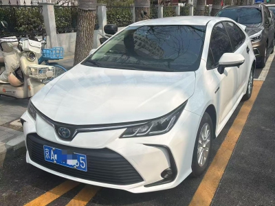 鲸牌链-京牌车长租平台