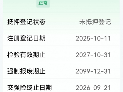 鲸牌链-京牌车长租平台-闲置京牌车长租：4000 元/月 小鹏P7+ 5座 纯电小轿车 尾号1 