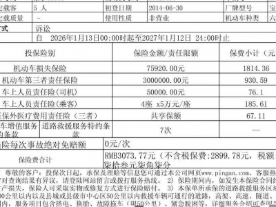 鲸牌链-京牌车长租平台-闲置京牌车长租：3200 元/月 宝马BMW 525Li 5座 汽油小轿车 尾号1 