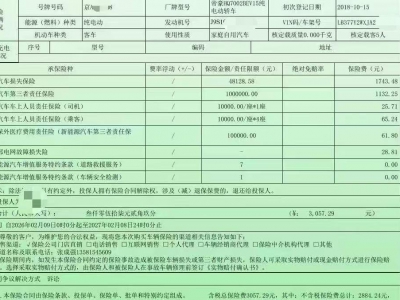 鲸牌链-京牌车长租平台-闲置京牌车长租：1800 元/月 吉利帝豪Gse 5座 纯电小轿车 尾号8 