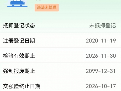 鲸牌链-京牌车长租平台-闲置京牌车长租：3000 元/月 小鹏g3 5座 纯电小轿车 尾号1 