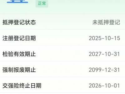 鲸牌链-京牌车长租平台-闲置京牌车长租：6000 元/月 蔚来乐道L90 6座 纯电SUV 尾号0 