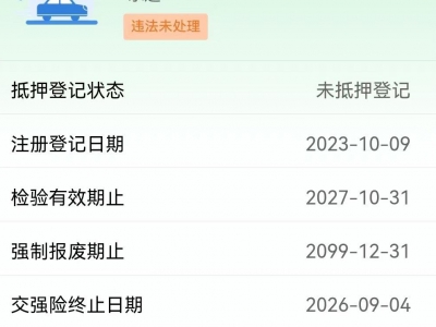 鲸牌链-京牌车长租平台-闲置京牌车长租：5000 元/月 特斯拉Model Y 5座 纯电小轿车 尾号7 