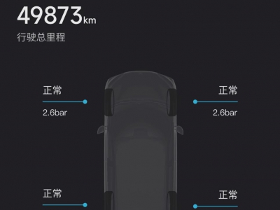 鲸牌链-京牌车长租平台-闲置京牌车长租：3500 元/月 北汽极狐阿尔法T5pro 5座 纯电SUV 尾号1 
