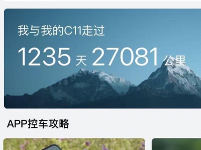 鲸牌链-京牌车长租平台-闲置京牌车长租：2800 元/月 其他零跑 C11 285 智享版 增程 5座 混动SUV 尾号3 
