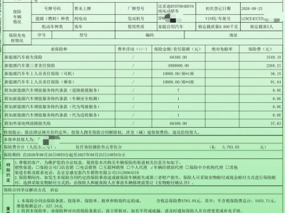 鲸牌链-京牌车长租平台-闲置京牌车长租:3000 元/月 比亚迪海豚自由版本 5座 纯电小轿车 尾号7