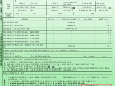 鲸牌链-京牌车长租平台-闲置京牌车长租：3500 元/月 其他深蓝L06 670Max 5座 纯电小轿车 尾号0 