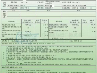 鲸牌链-京牌车长租平台-闲置京牌车长租：2700 元/月 其他C01 5座 纯电小轿车 尾号2 