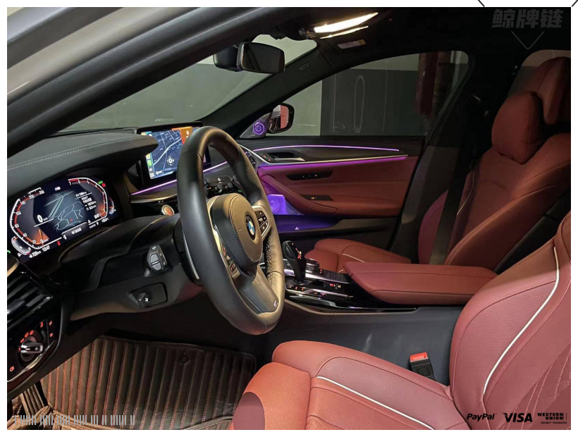 闲置私家车京牌车长租-宝马 BMW 530Li-京牌链-闲置京牌车长租：11800 元/月 宝马BMW 530 Li 5座 汽油小轿车 尾号5 
