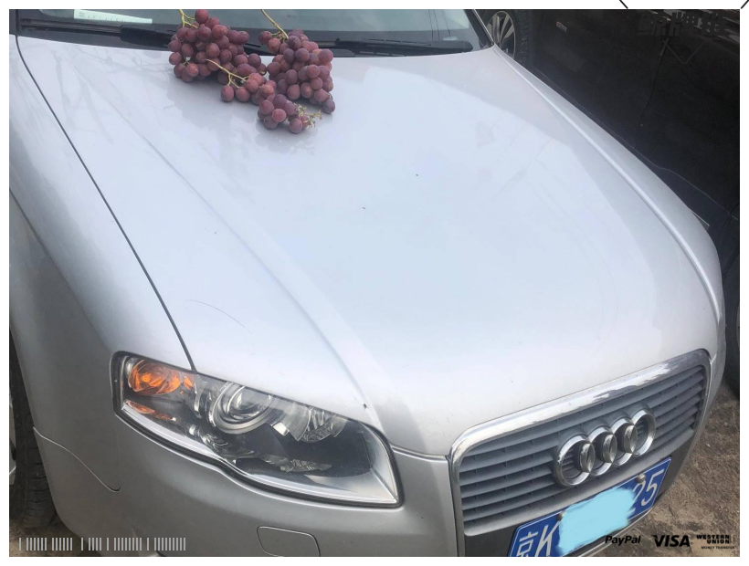 闲置京牌车长租-奥迪A4-京牌链-闲置京牌车长租：2800 元/月 奥迪A4 5座 汽油小轿车 尾号5 