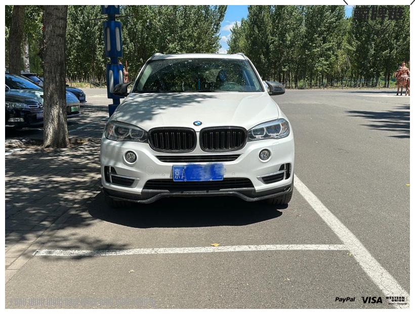 鲸牌链-京牌车长租平台-闲置京牌车长租：7000 元/月 宝马BMW X5 5座 汽油SUV 尾号2 