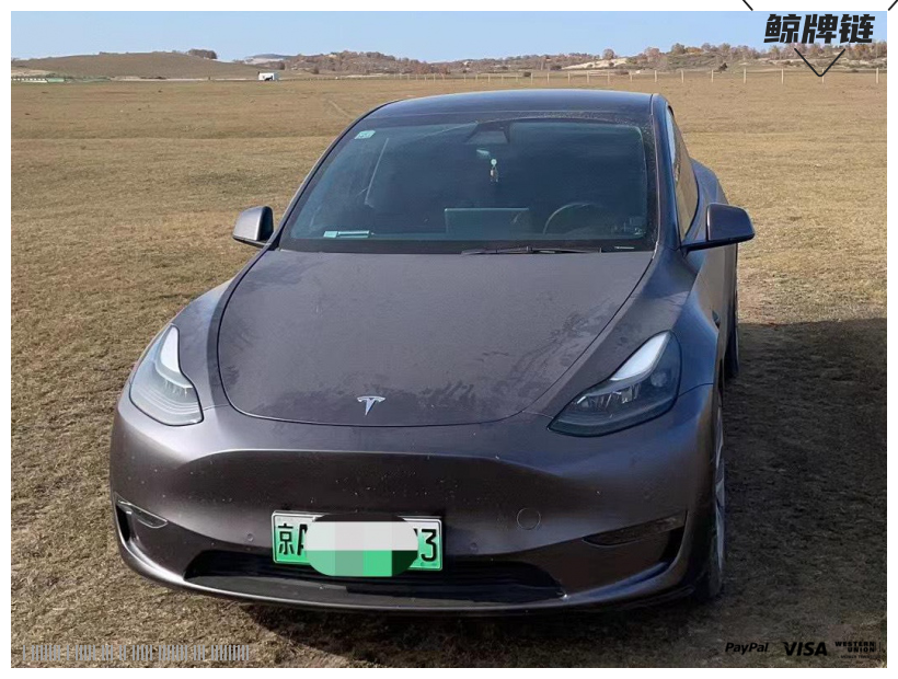 鲸牌链-京牌车长租平台-闲置京牌车长租：5500 元/月 特斯拉Model Y 标续 5座 纯电SUV 尾号3 