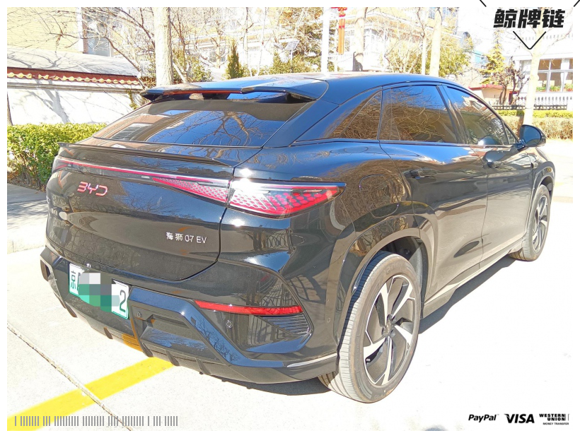 鲸牌链-京牌车长租平台-闲置京牌车长租：5000 元/月 比亚迪海狮07 EV 5座 纯电SUV 尾号2 