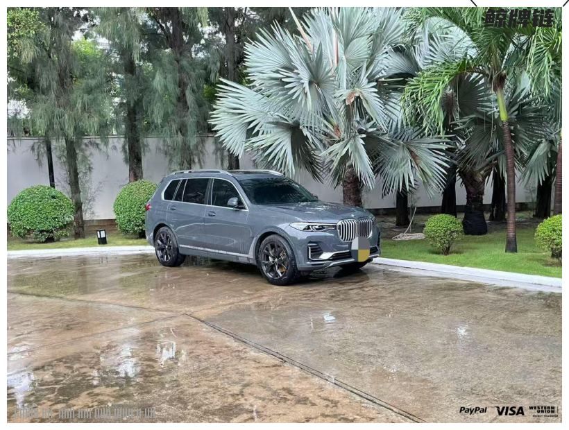 鲸牌链-京牌车长租平台-闲置京牌车长租：9980 元/月 宝马BMW X7 XDrive 40i 7座 汽油SUV 尾号9 