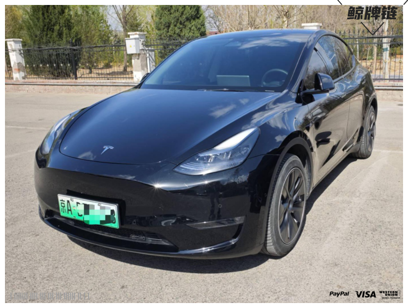 鲸牌链-京牌车长租平台-闲置京牌车长租：5360 元/月 特斯拉Model Y 四驱长续航版 5座 纯电小轿车 尾号8 
