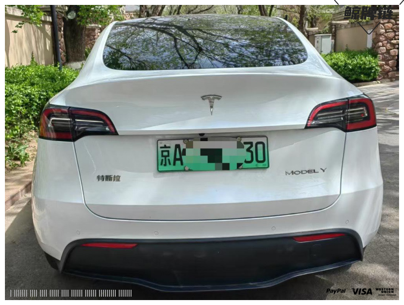 鲸牌链-京牌车长租平台-闲置京牌车长租：4900 元/月 特斯拉Model Y 四驱长续航 5座 纯电SUV 尾号0 