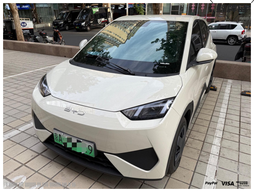 鲸牌链-京牌车长租平台-闲置京牌车长租：3000 元/月 比亚迪海鸥自由版 4座 纯电小轿车 尾号9 