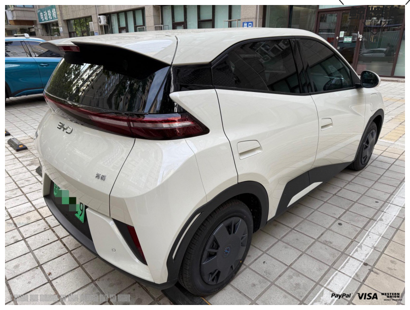 鲸牌链-京牌车长租平台-闲置京牌车长租：3000 元/月 比亚迪海鸥自由版 4座 纯电小轿车 尾号9 