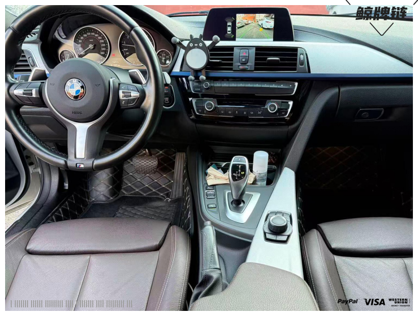 鲸牌链-京牌车长租平台-闲置京牌车长租：3500 元/月 宝马BMW 320i 5座 汽油小轿车 尾号9 