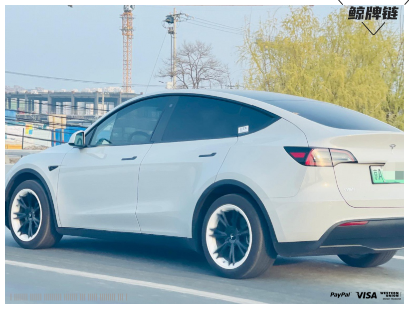 鲸牌链-京牌车长租平台-闲置京牌车长租：5000 元/月 特斯拉毛豆 Y 5座 纯电SUV 尾号2 