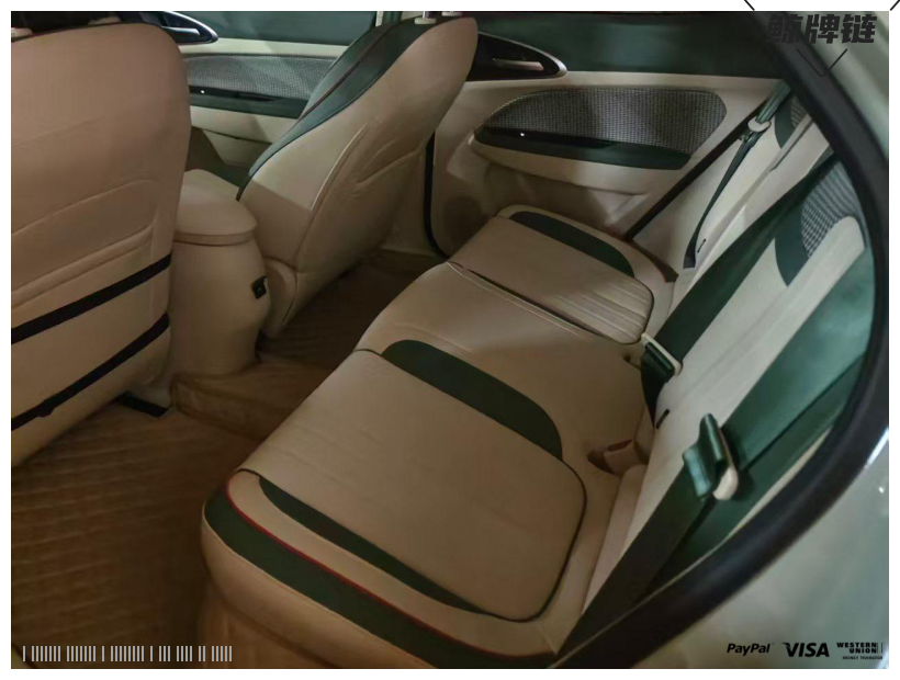 鲸牌链-京牌车长租平台-闲置京牌车长租：3000 元/月 长城欧拉好猫 5座 纯电小轿车 尾号9 