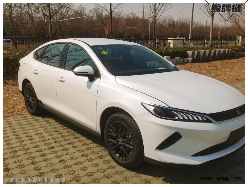 鲸牌链-京牌车长租平台-闲置京牌车长租：4000 元/月 比亚迪秦Plus  EV 510km 5座 纯电小轿车 尾号5 