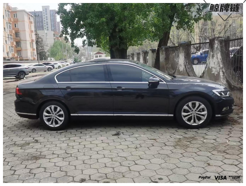 鲸牌链-京牌车长租平台-闲置京牌车长租：3600 元/月 大众迈腾 2.0T 330 5座 汽油小轿车 尾号8 