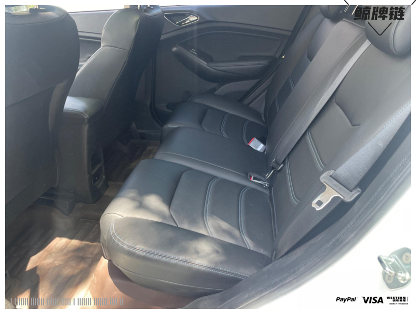 鲸牌链-京牌车长租平台-闲置京牌车长租：2000 元/月 比亚迪元EV 5座 纯电小轿车 尾号9 