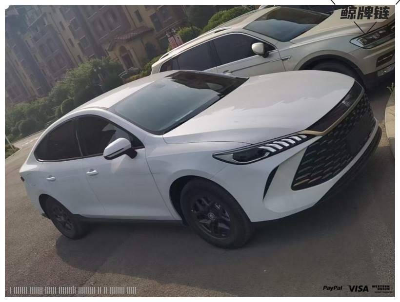 鲸牌链-京牌车长租平台-闲置京牌车长租：3500 元/月 比亚迪秦Plus Dmi混动版128进取 5座 汽油小轿车 尾号7 