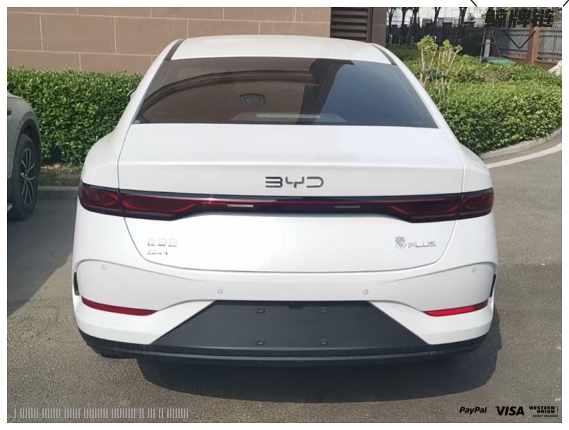 鲸牌链-京牌车长租平台-闲置京牌车长租：3500 元/月 比亚迪秦Plus Dmi混动版128进取 5座 汽油小轿车 尾号7 