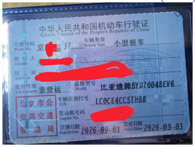 鲸牌链-京牌车长租平台-闲置京牌车长租:3000 元/月 比亚迪海豚自由版本 5座 纯电小轿车 尾号7